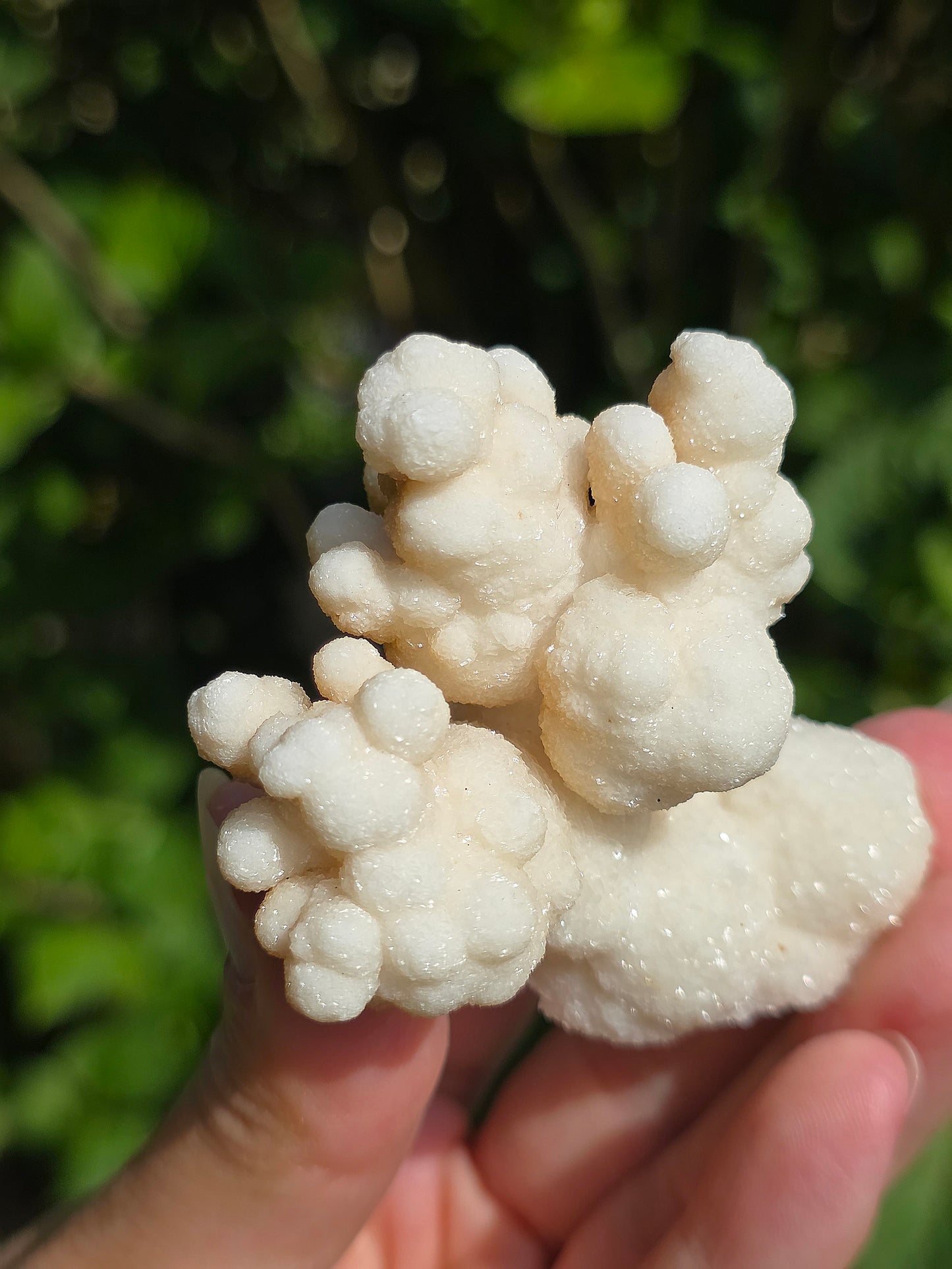 Aragonite botryoïdale cristallisée du Maroc