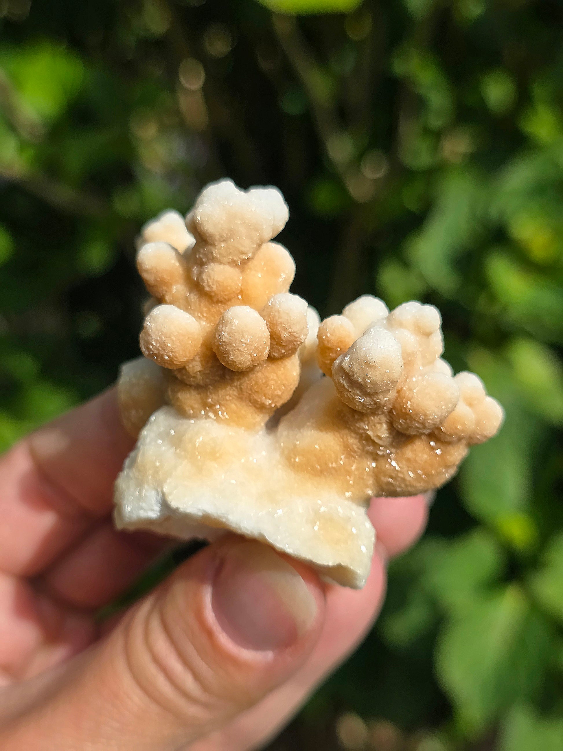 Aragonite botryoïdale cristallisée du Maroc