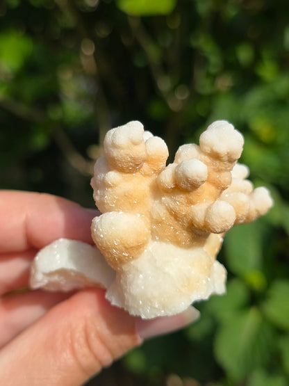 Aragonite botryoïdale cristallisée du Maroc