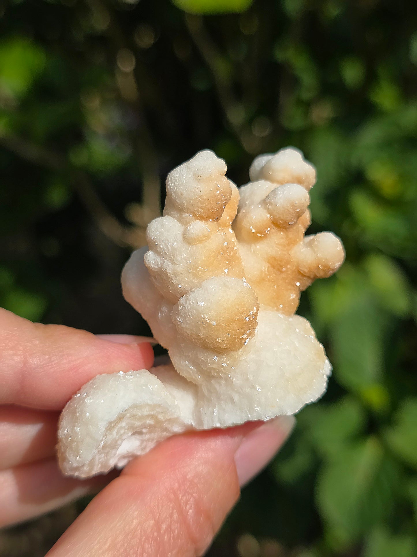 Aragonite botryoïdale cristallisée du Maroc