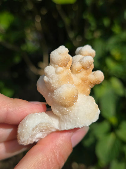 Aragonite botryoïdale cristallisée du Maroc