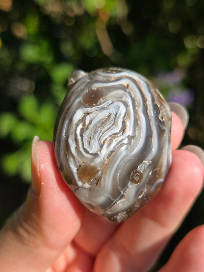 Agate eau (enhydro) d'Argentine
