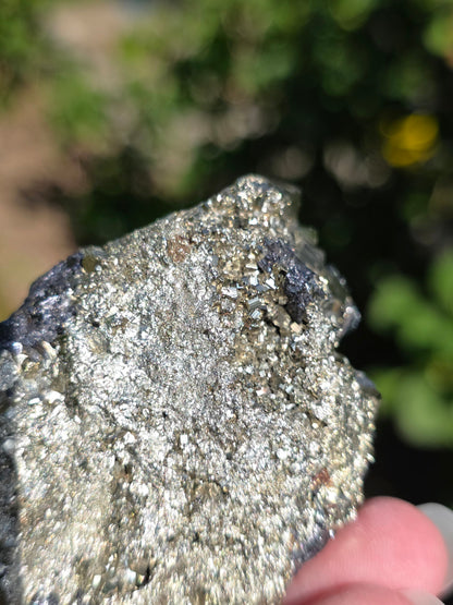 Tétraédrite sur Pyrite brute du Pérou