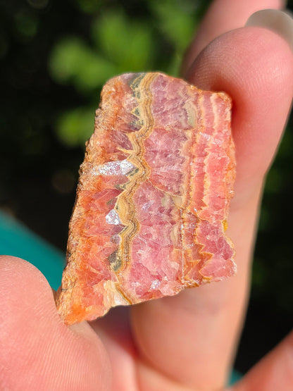 tranche de Rhodochrosite d'Argentine