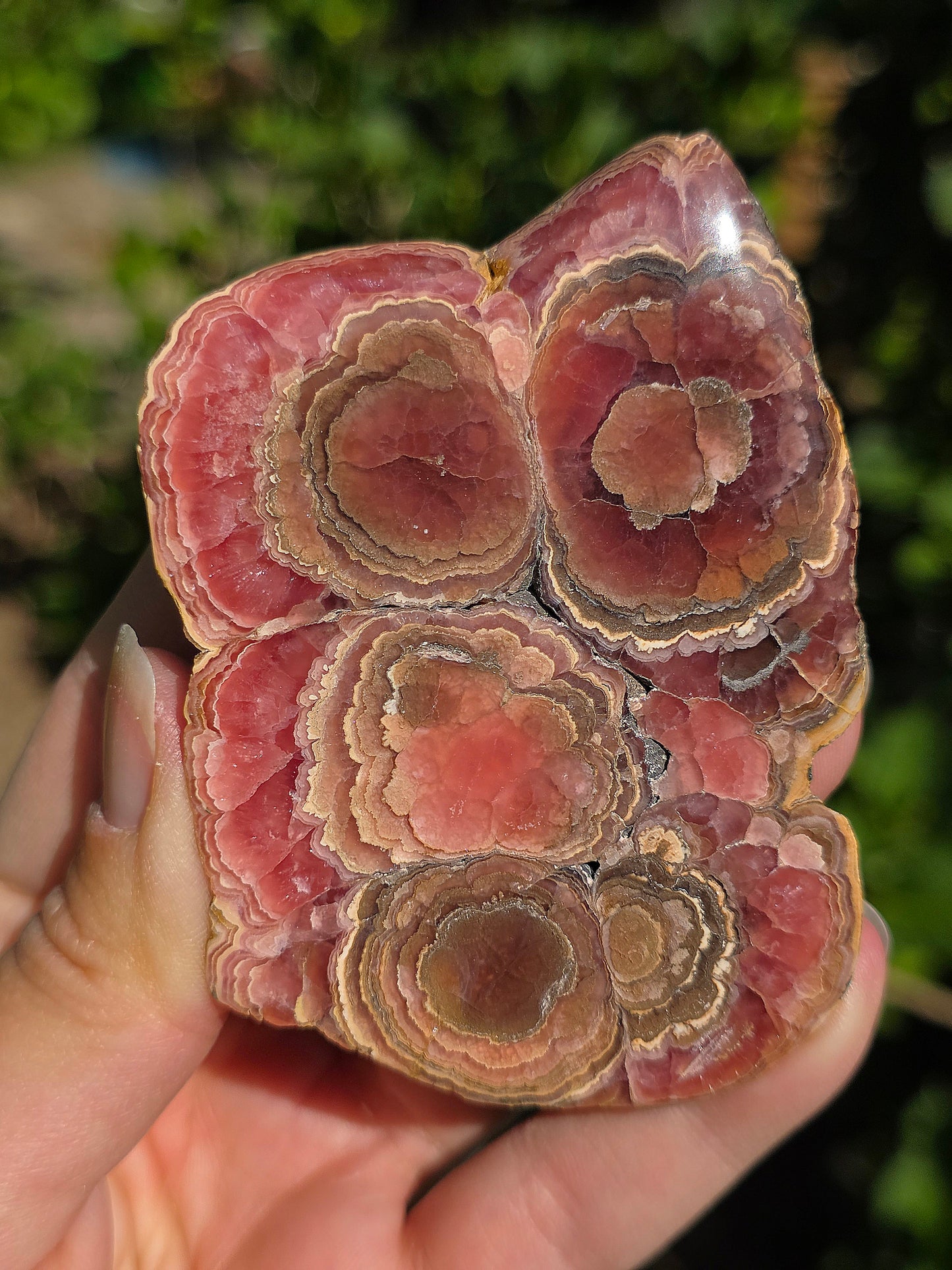 Sublime tranche de Rhodochrosite naturelle d'Argentine