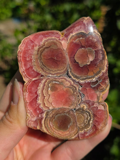 Sublime tranche de Rhodochrosite naturelle d'Argentine