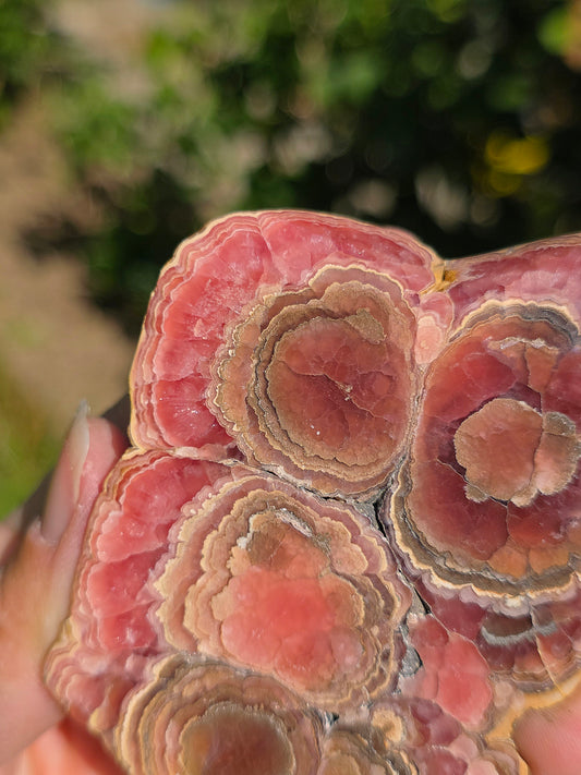 Sublime tranche de Rhodochrosite naturelle d'Argentine