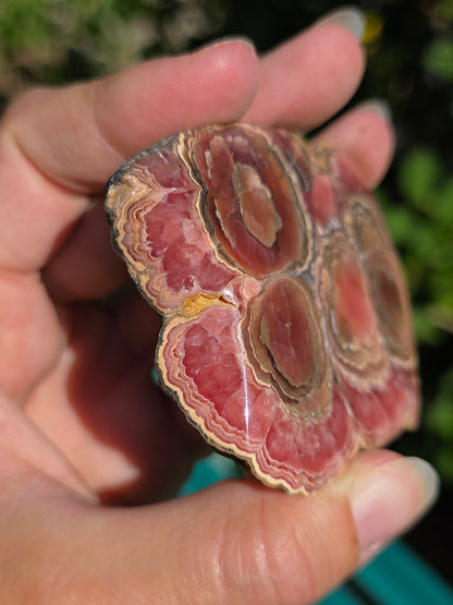 tranche de Rhodochrosite naturelle d'Argentine