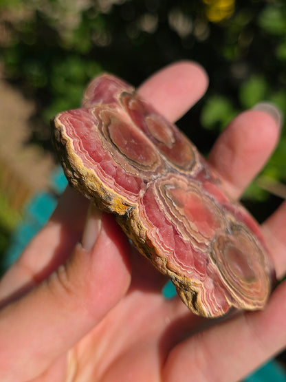 Sublime tranche de Rhodochrosite naturelle d'Argentine