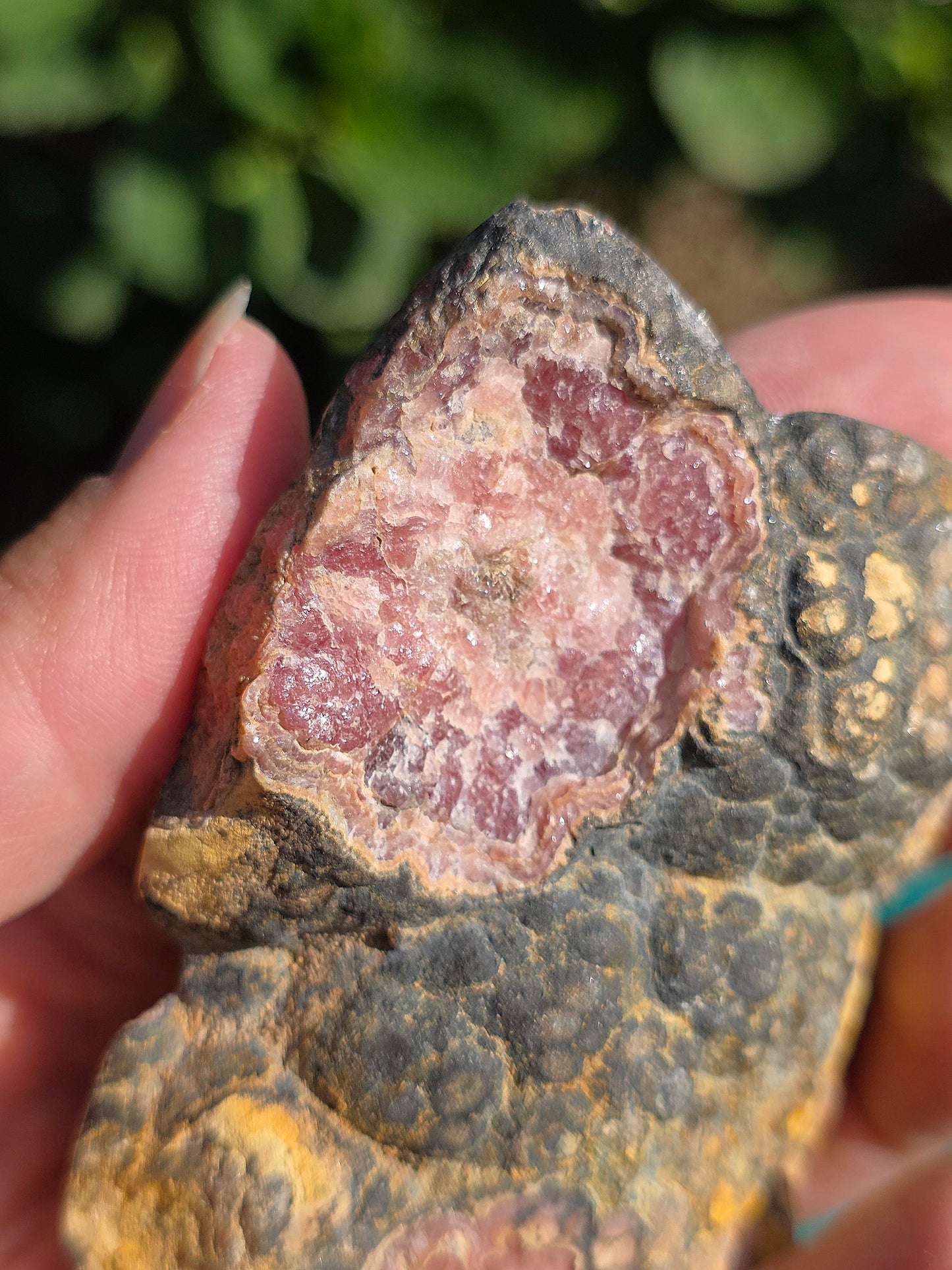 Sublime tranche de Rhodochrosite naturelle d'Argentine