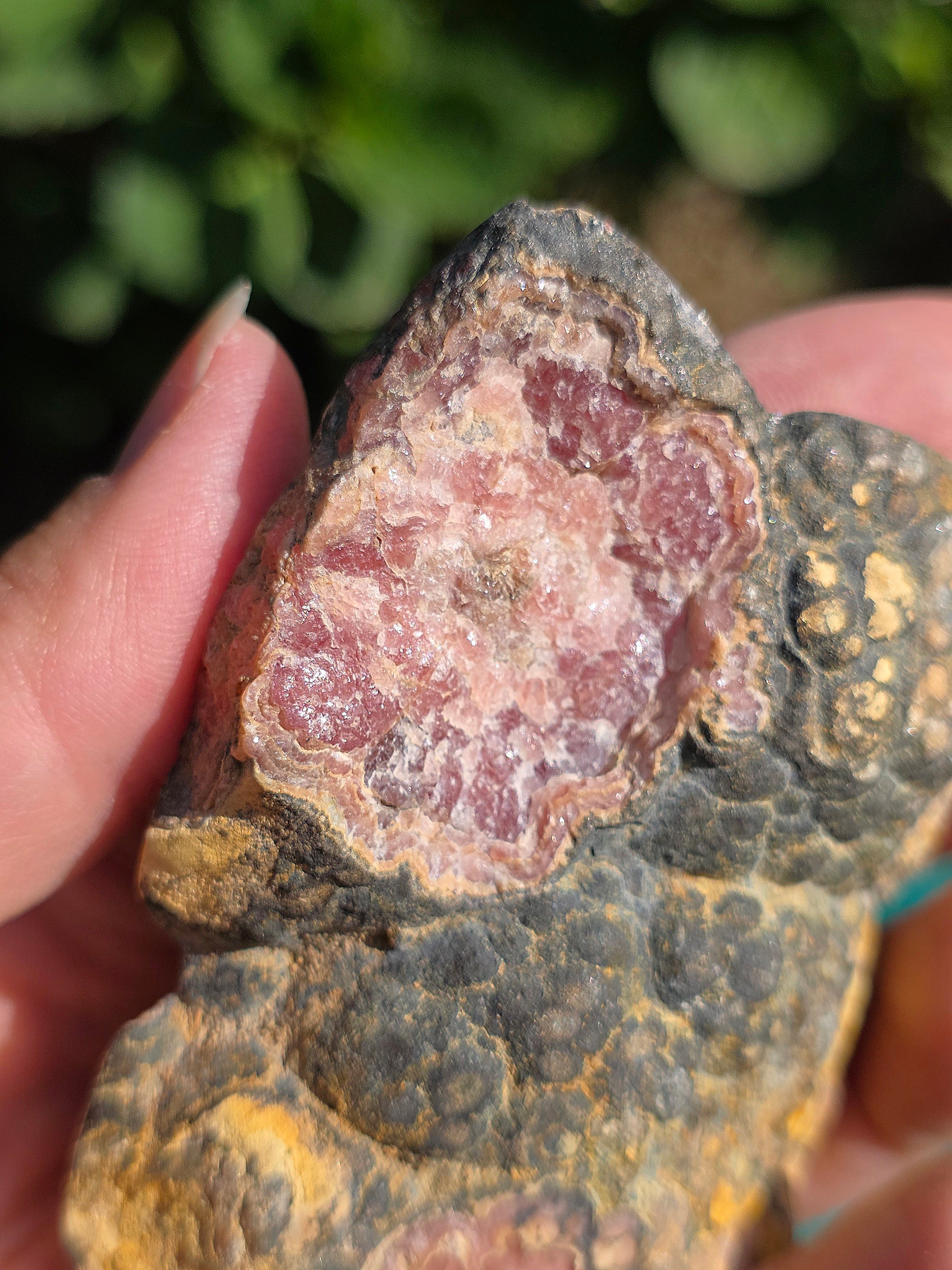Sublime tranche de Rhodochrosite naturelle d'Argentine