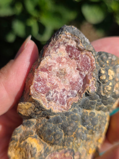 Sublime tranche de Rhodochrosite naturelle d'Argentine