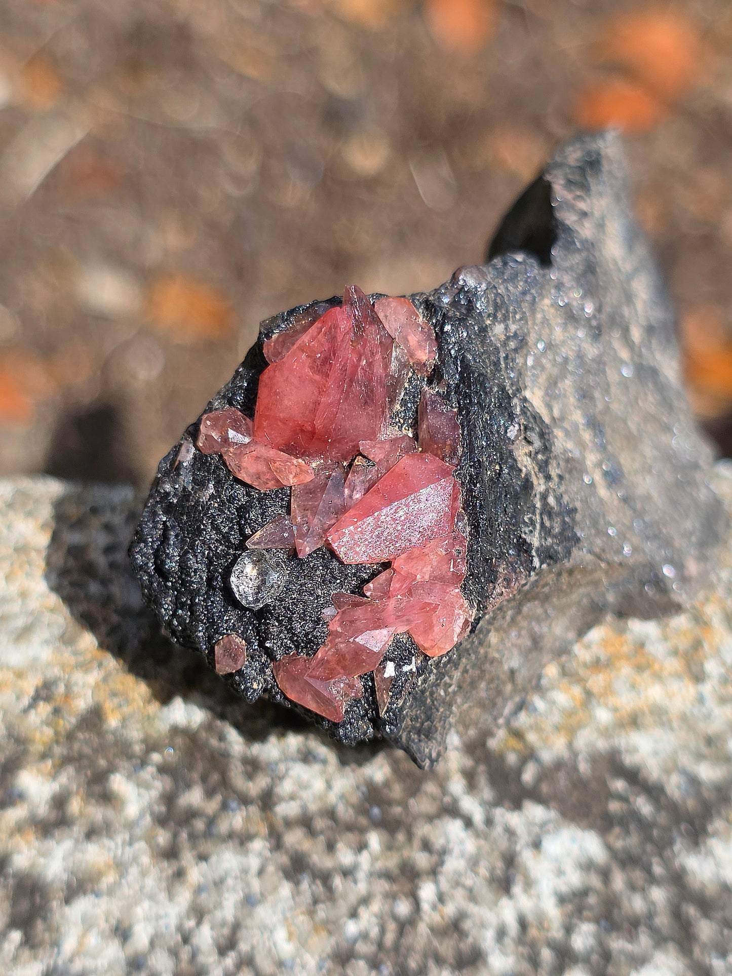 Rhodochrosite brute et naturelle d'Argentine