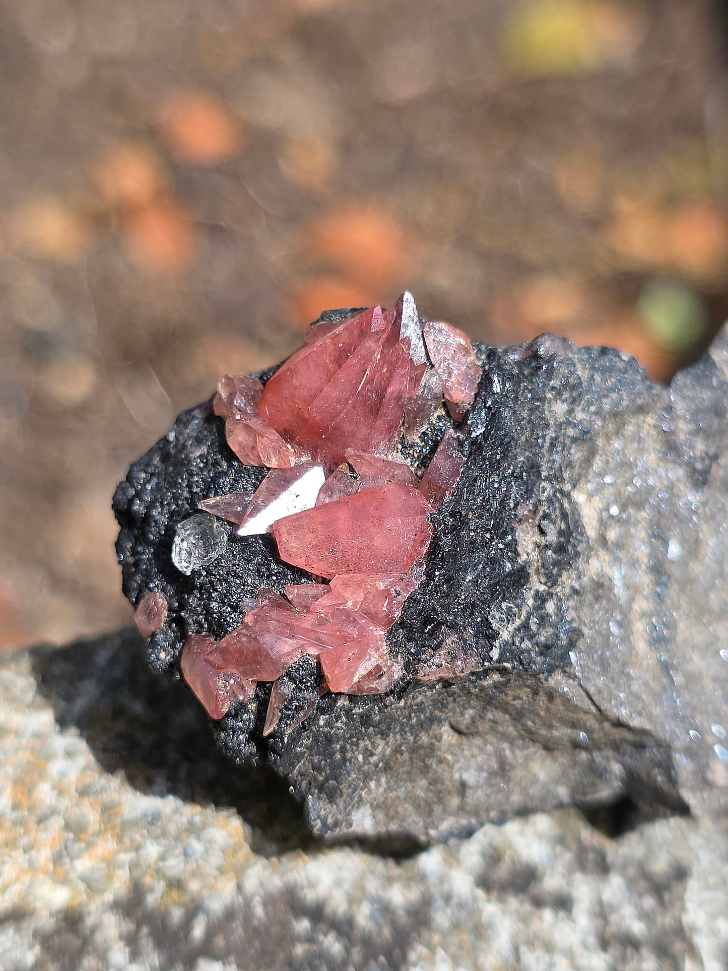 Rhodochrosite brute et naturelle d'Argentine