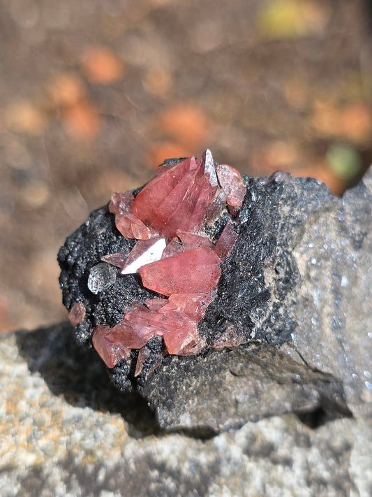 Rhodochrosite brute et naturelle d'Argentine