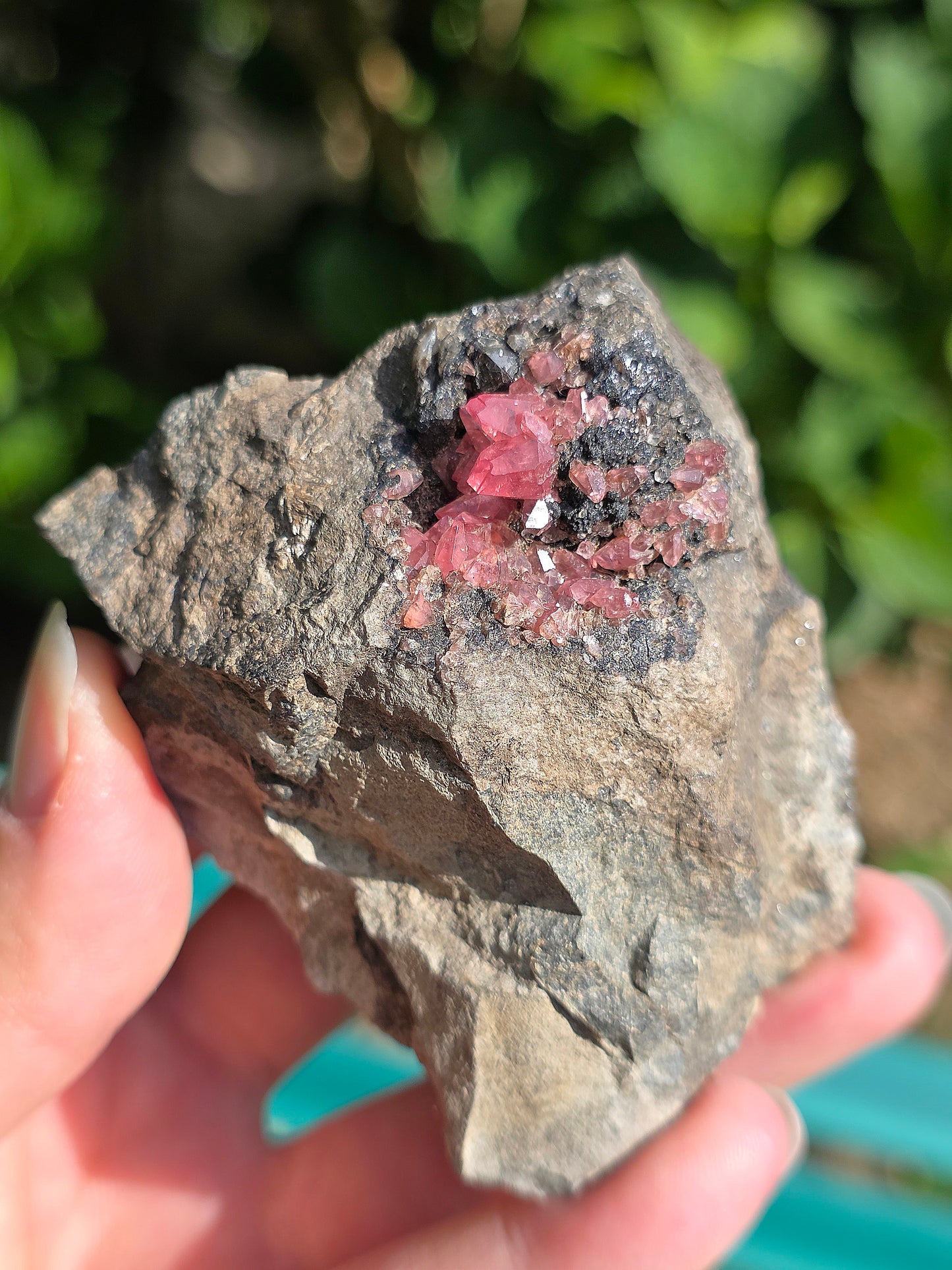 Grosse Rhodochrosite brute et naturelle d'Argentine