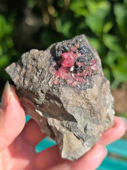 Grosse Rhodochrosite brute et naturelle d'Argentine
