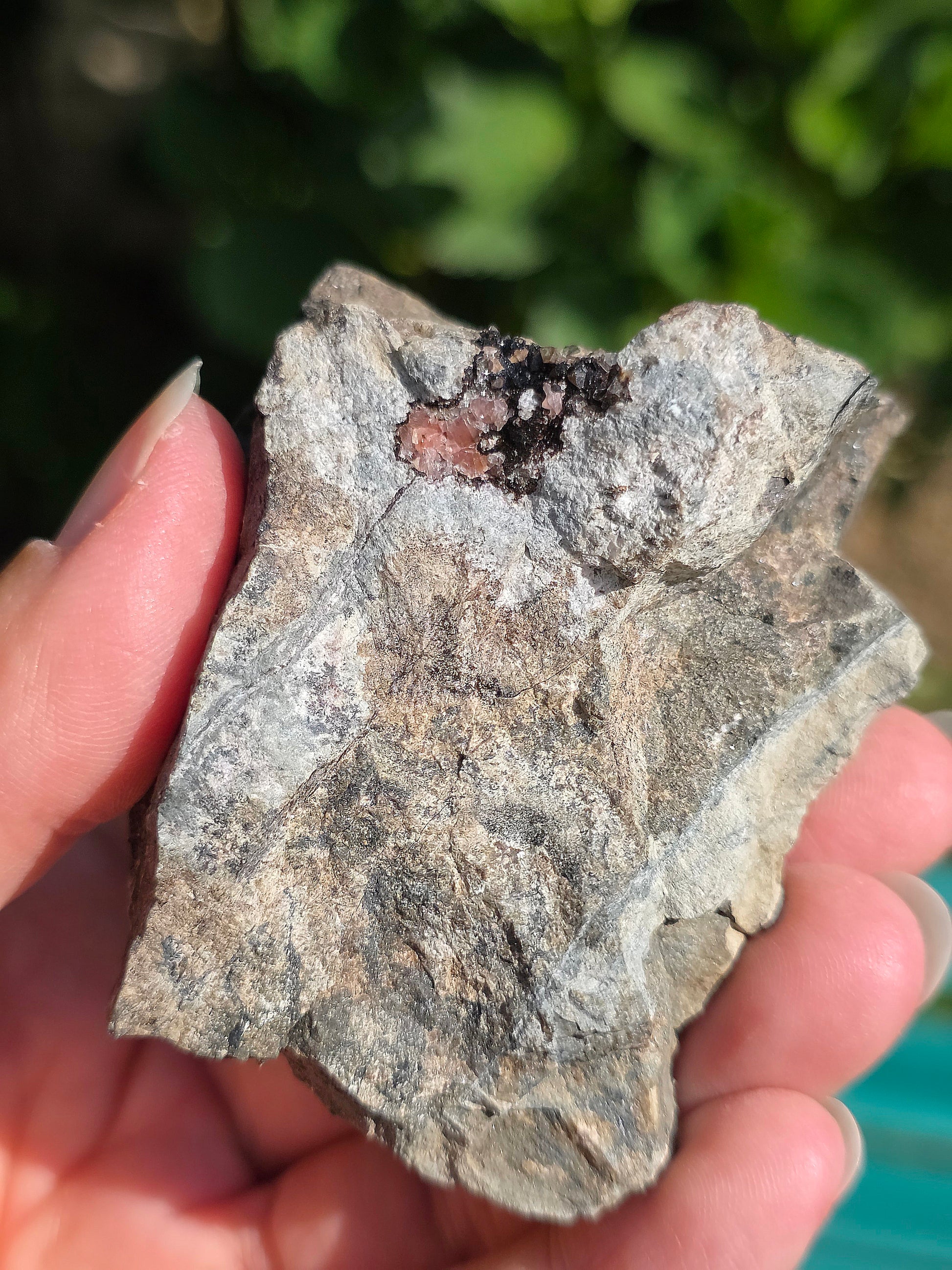 Grosse Rhodochrosite brute et naturelle d'Argentine