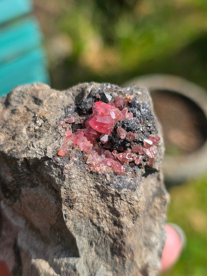 Grosse Rhodochrosite brute et naturelle d'Argentine