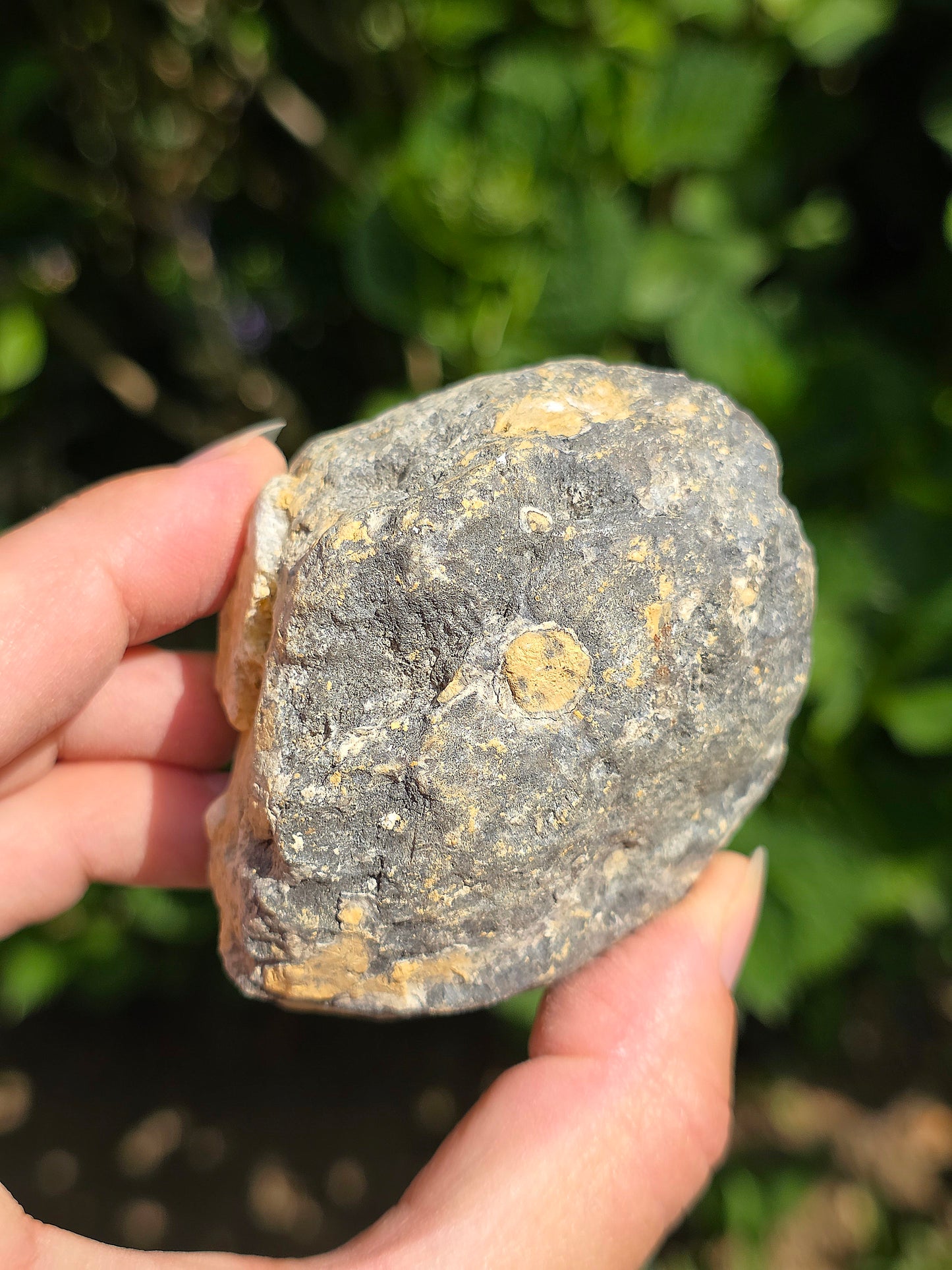 Géode de Quartz entière du Maroc