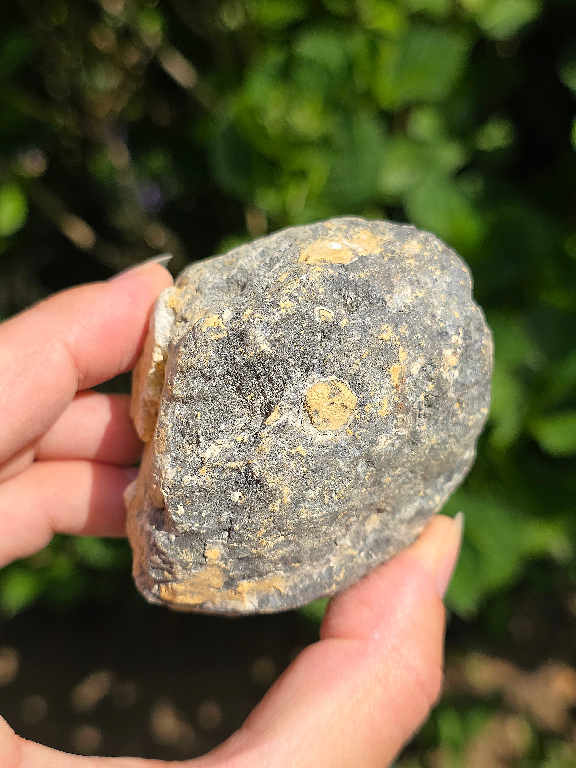 Géode de Quartz entière du Maroc