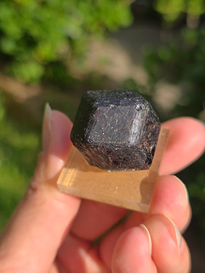 Grenat almandin brut Himalaya