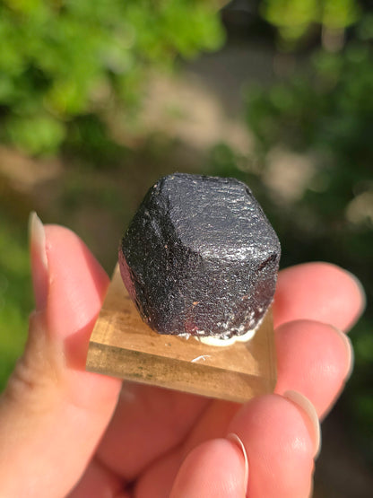 Grenat almandin brut Himalaya