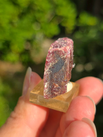 Rhodonite rouge brute