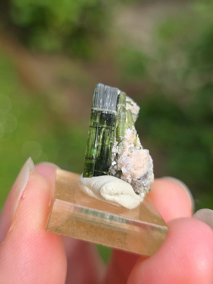 Tourmaline verte (Verdélite) du Brésil