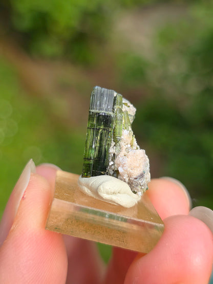 Tourmaline verte (Verdélite) du Brésil