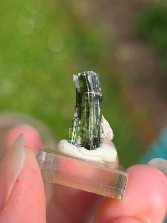 Tourmaline verte (Verdélite) du Brésil