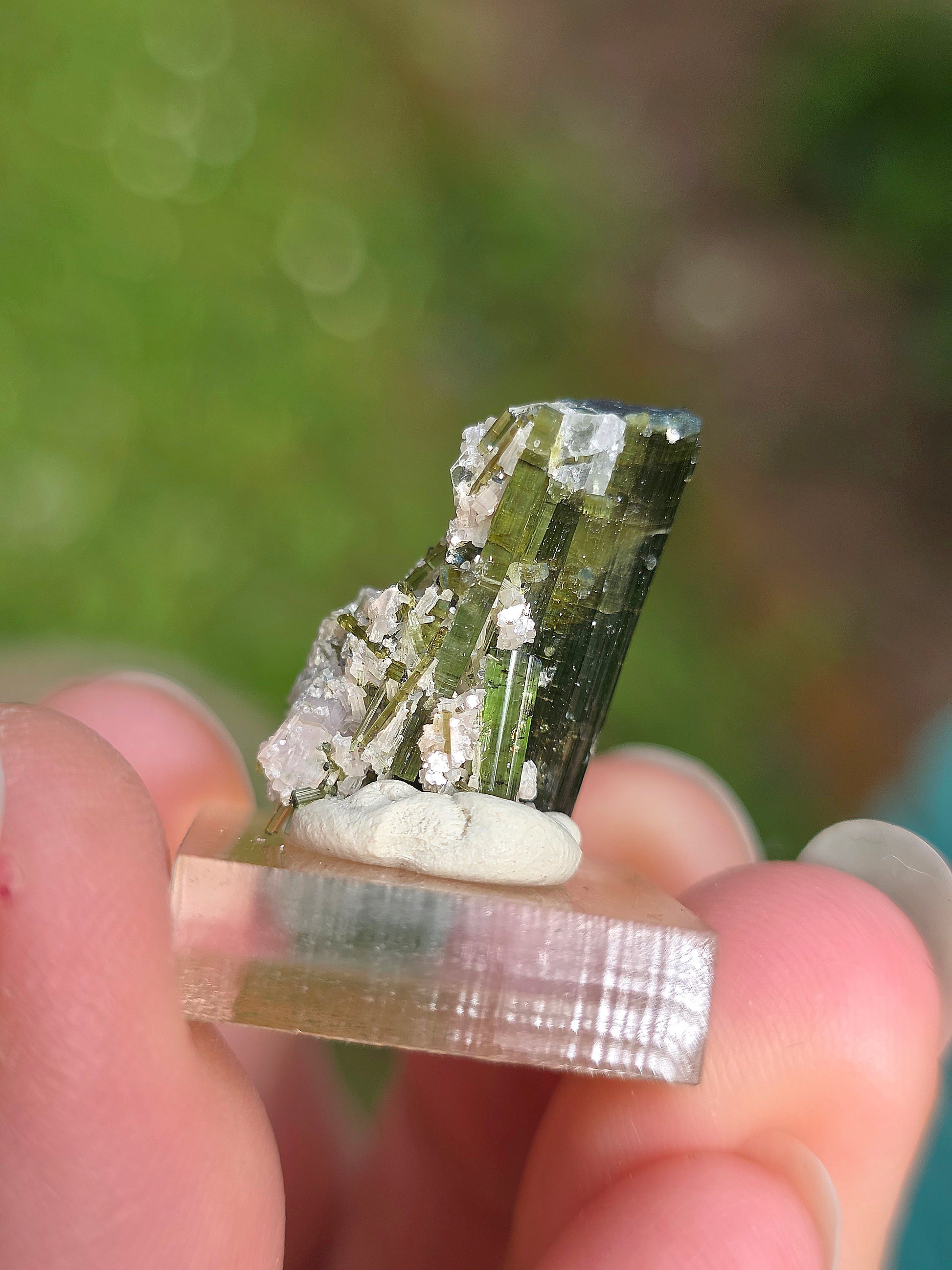Tourmaline verte (Verdélite) du Brésil