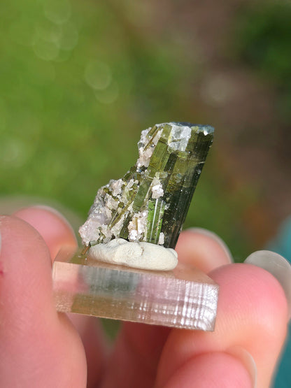 Tourmaline verte (Verdélite) du Brésil