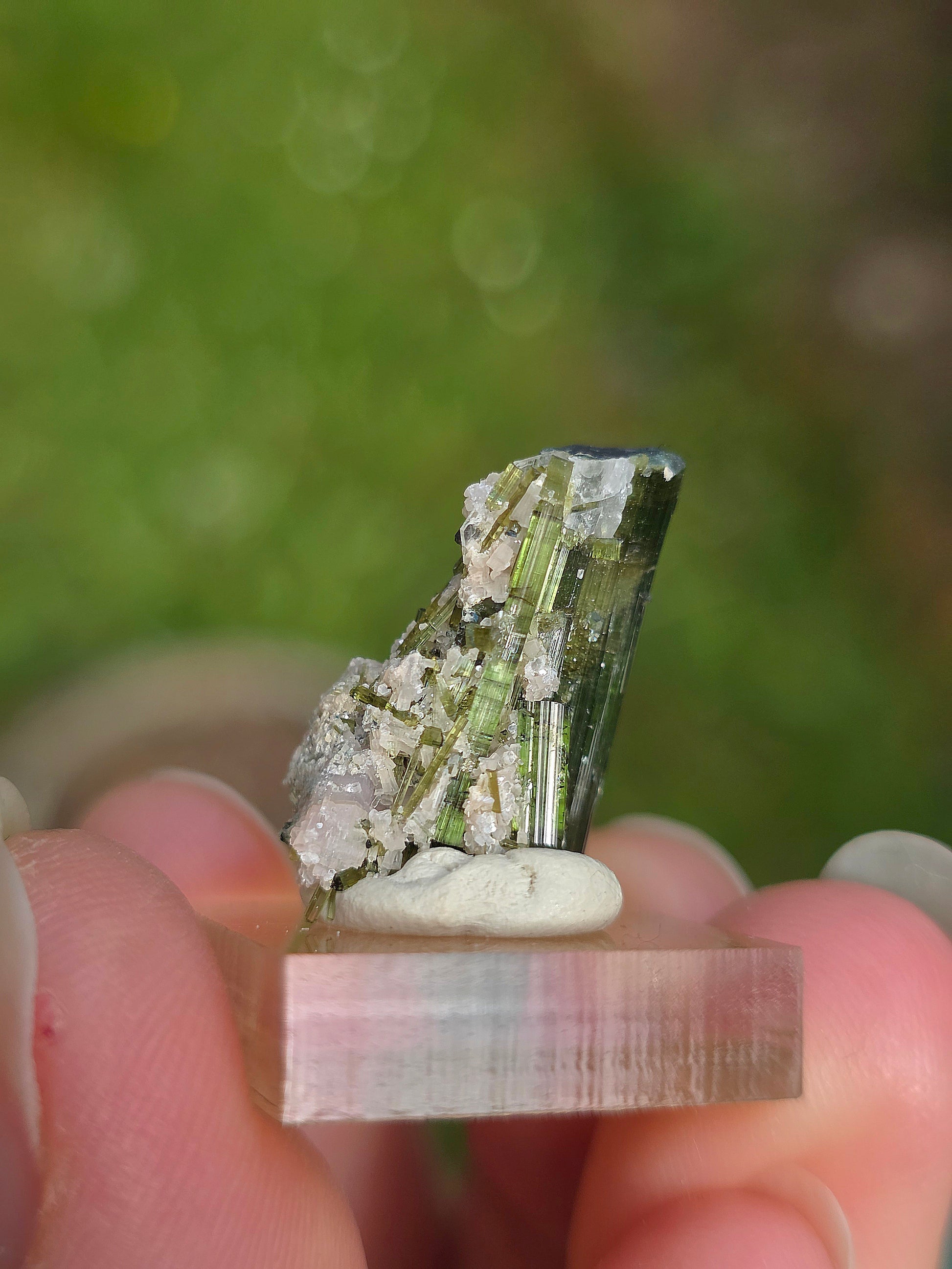 Tourmaline verte (Verdélite) du Brésil