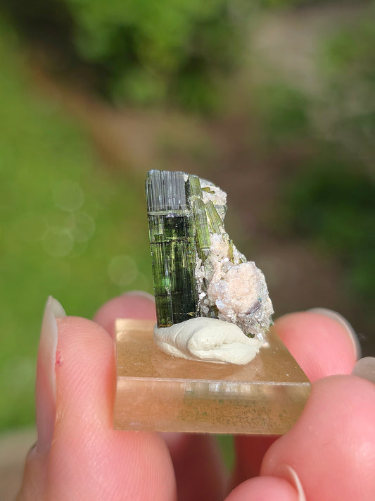 Tourmaline verte (Verdélite) du Brésil