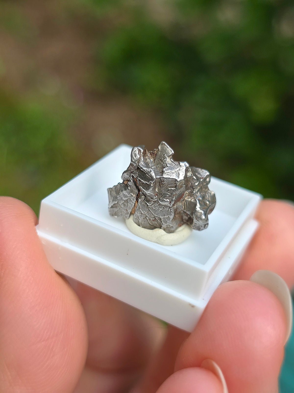 Fragment de météorite d'Argentine