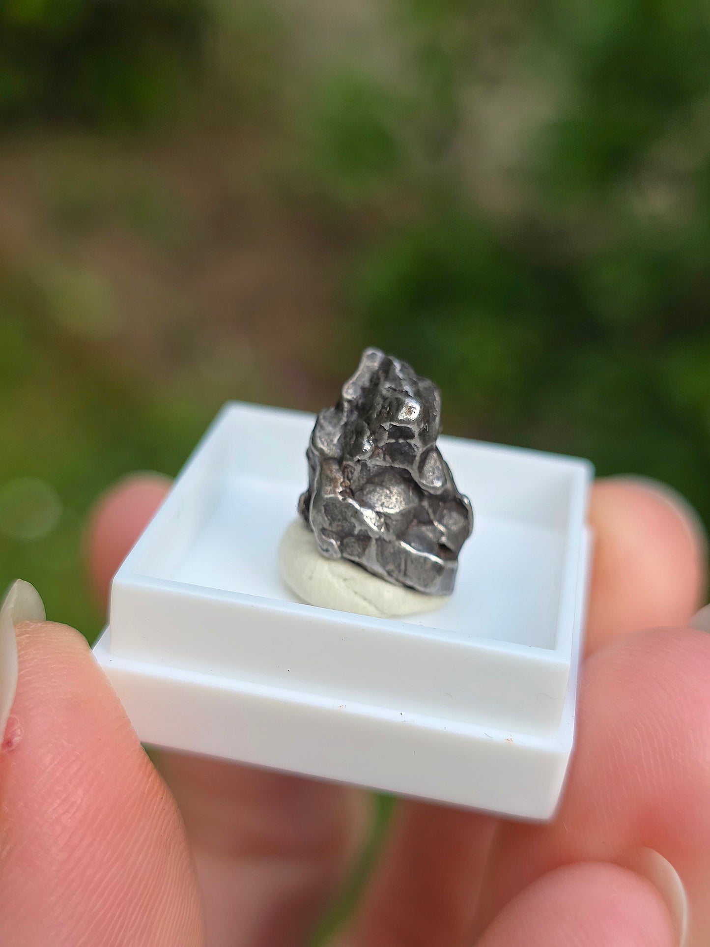 Fragment de météorite d'Argentine