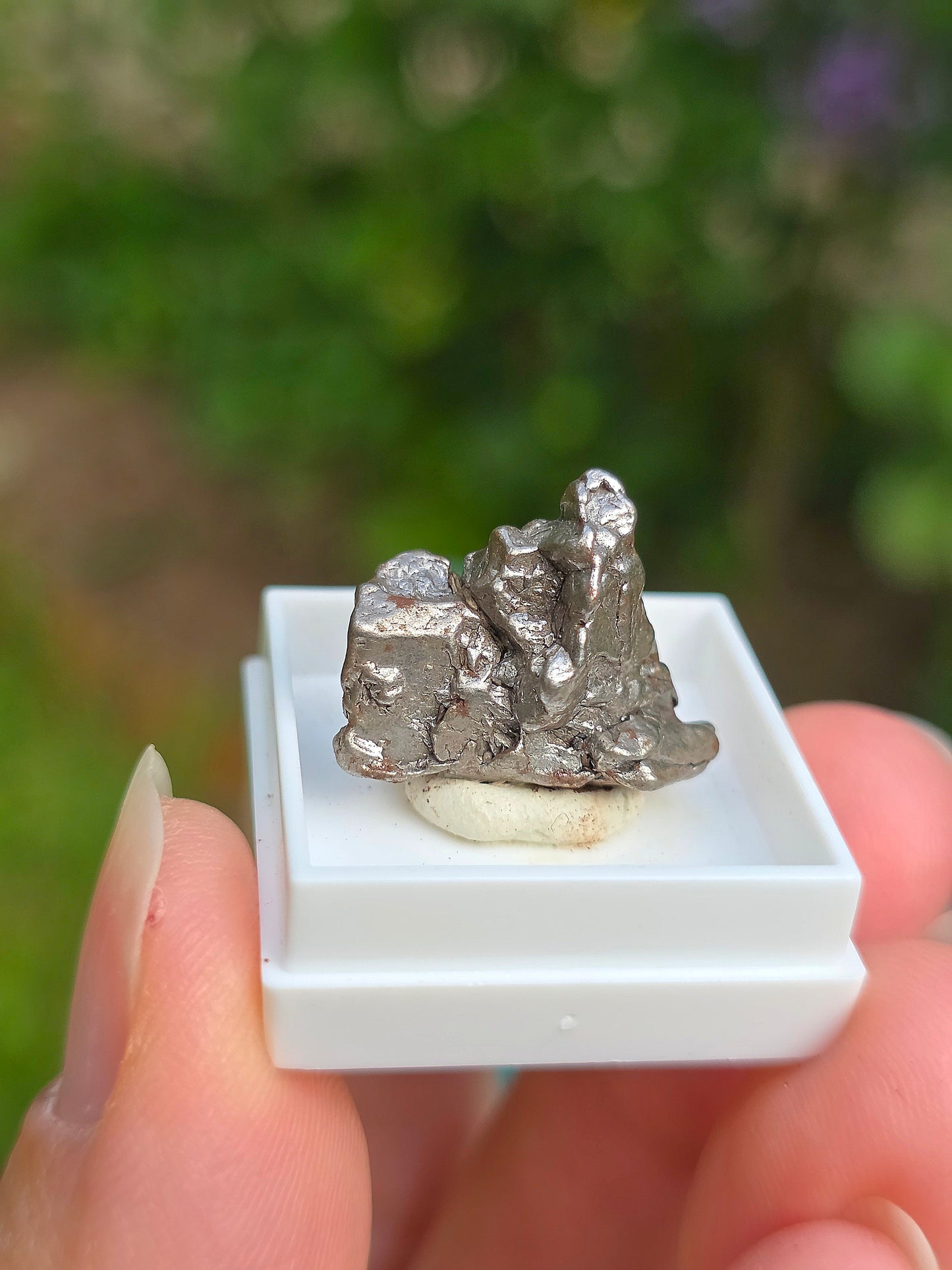 Fragment de météorite d'Argentine
