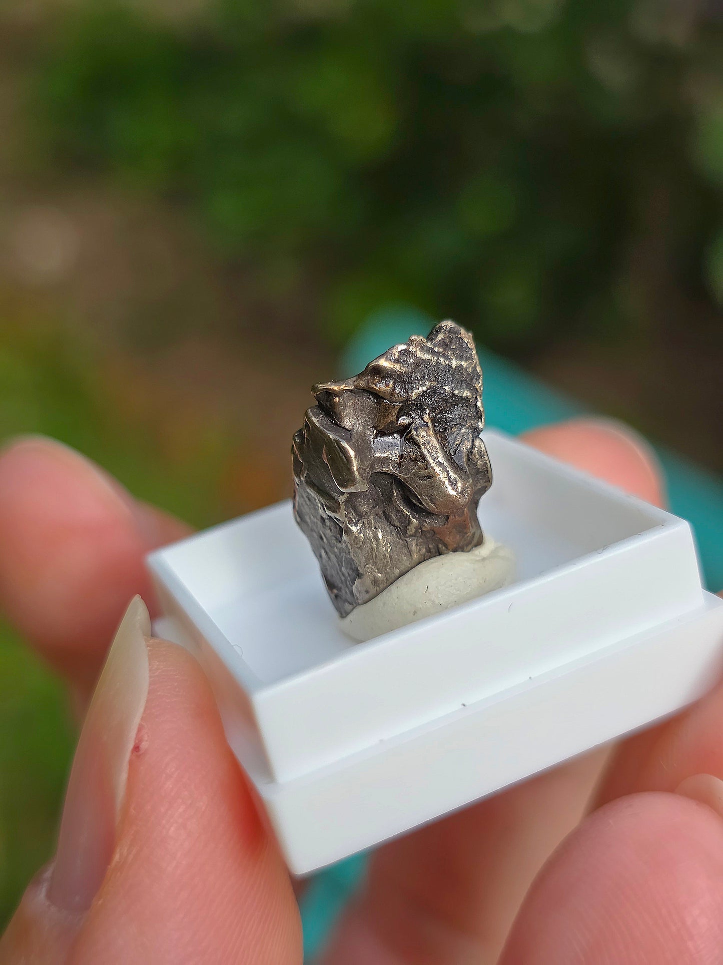 Fragment de météorite d'Argentine