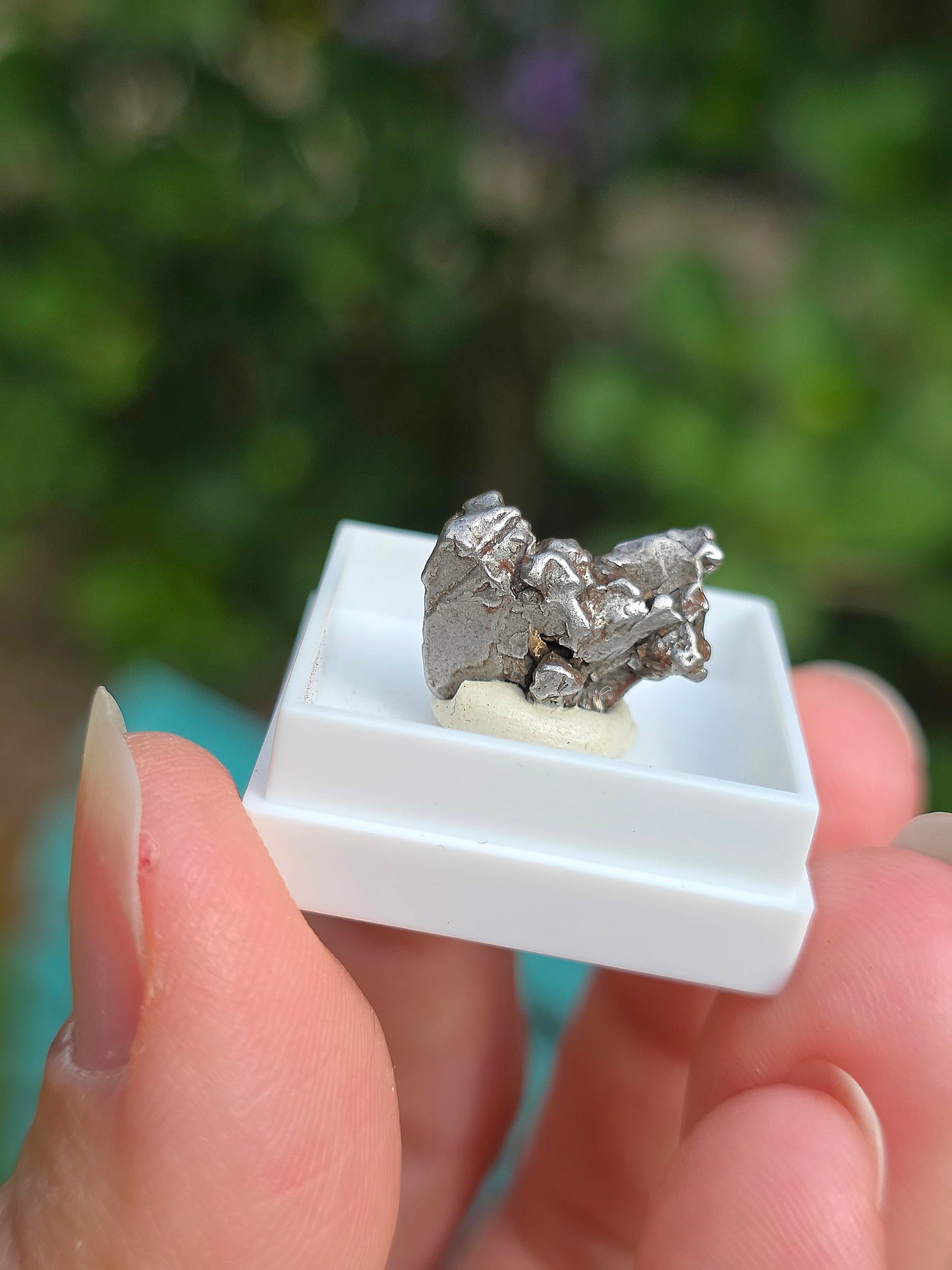 Fragment de météorite d'Argentine