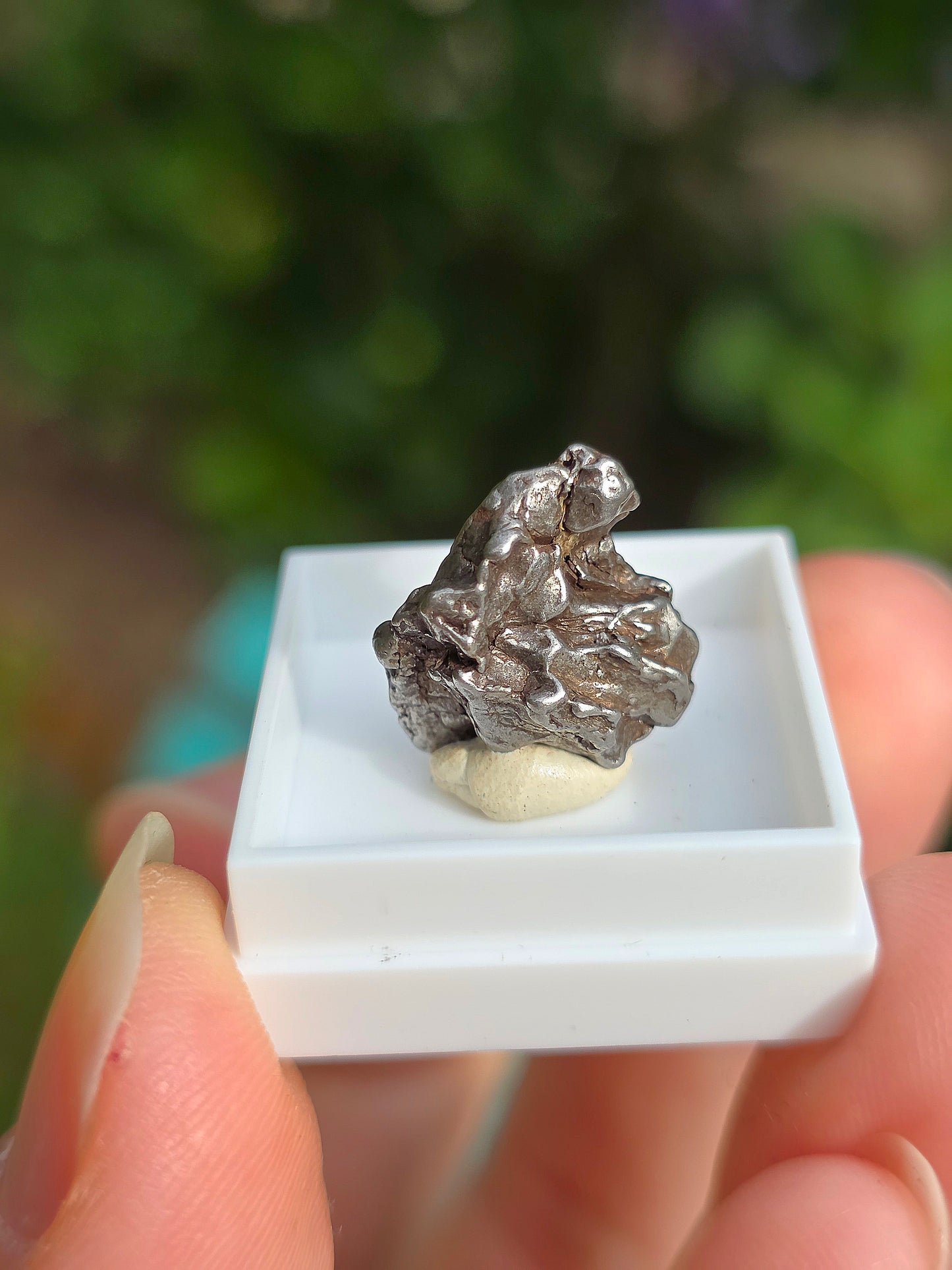 Fragment de météorite d'Argentine Campo del cielo