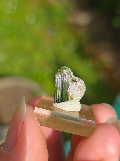 Tourmaline verte (Verdélite) du Brésil