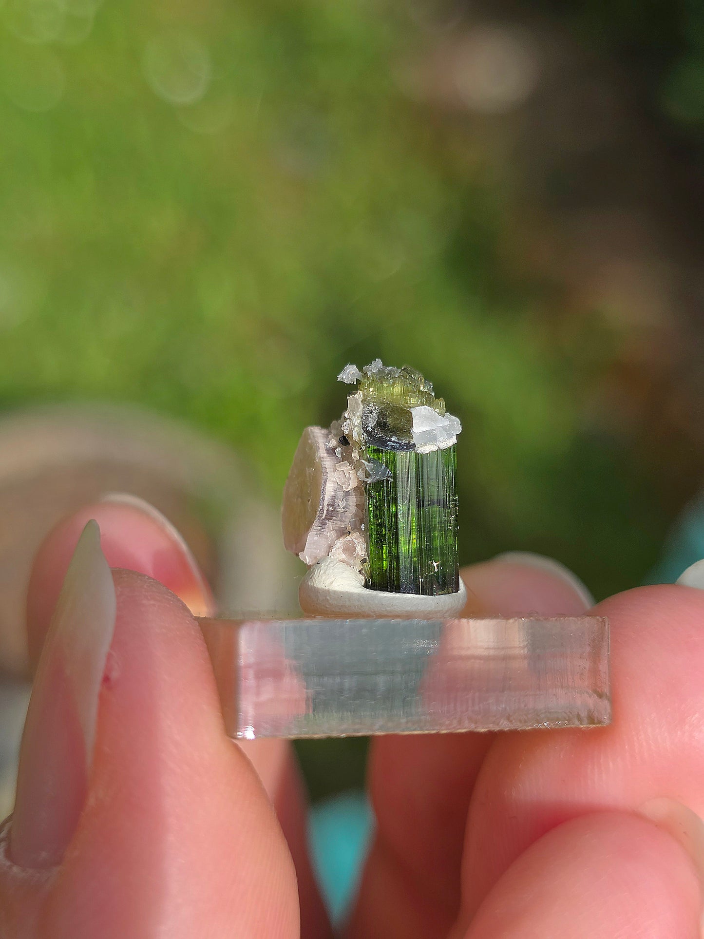 Tourmaline verte (Verdélite) du Brésil