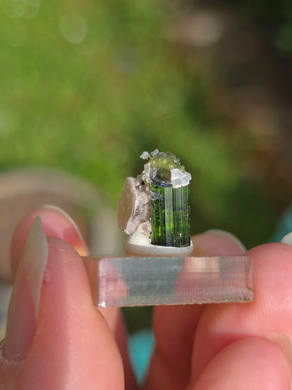 Tourmaline verte (Verdélite) du Brésil