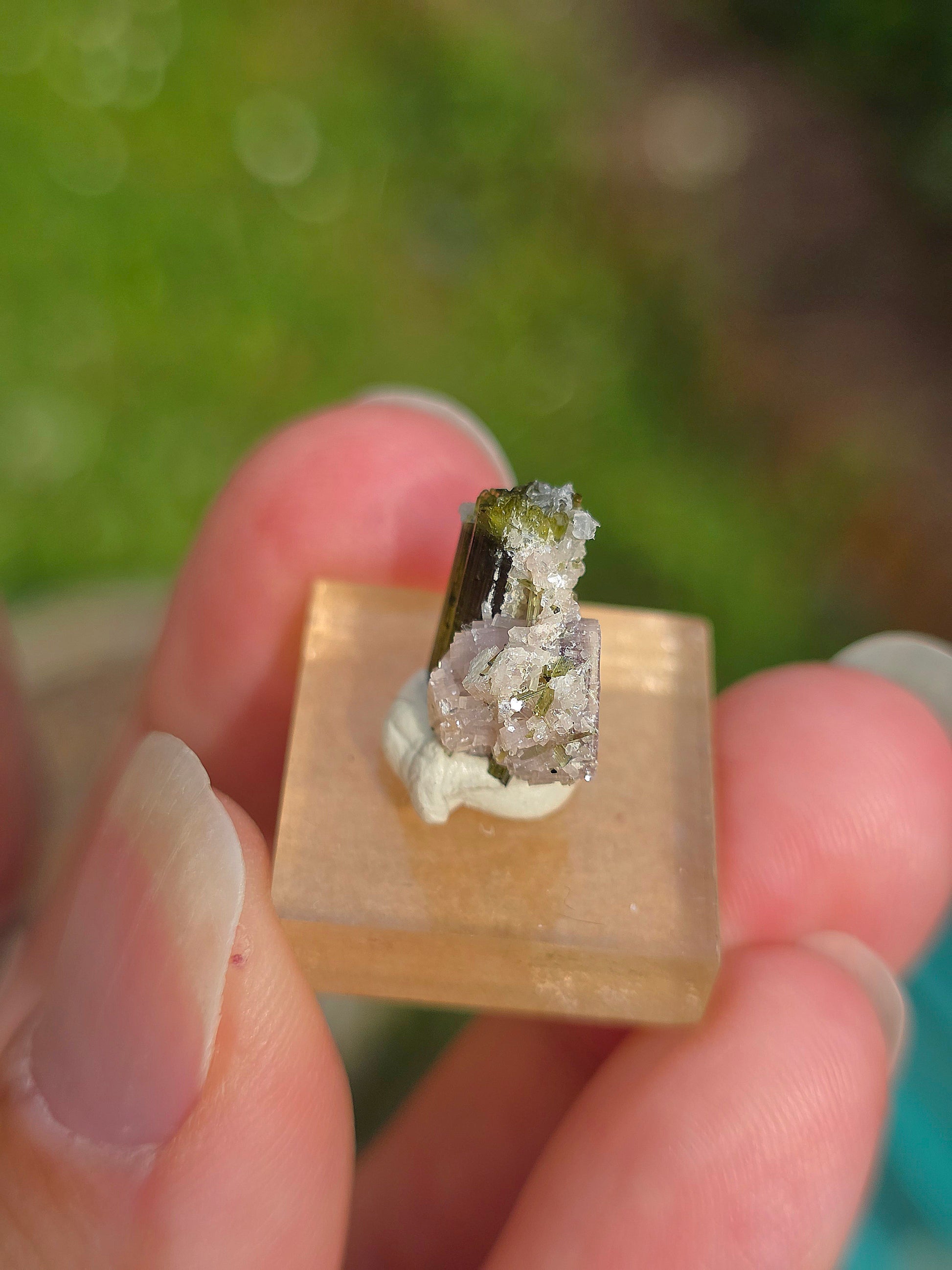 Tourmaline verte (Verdélite) du Brésil