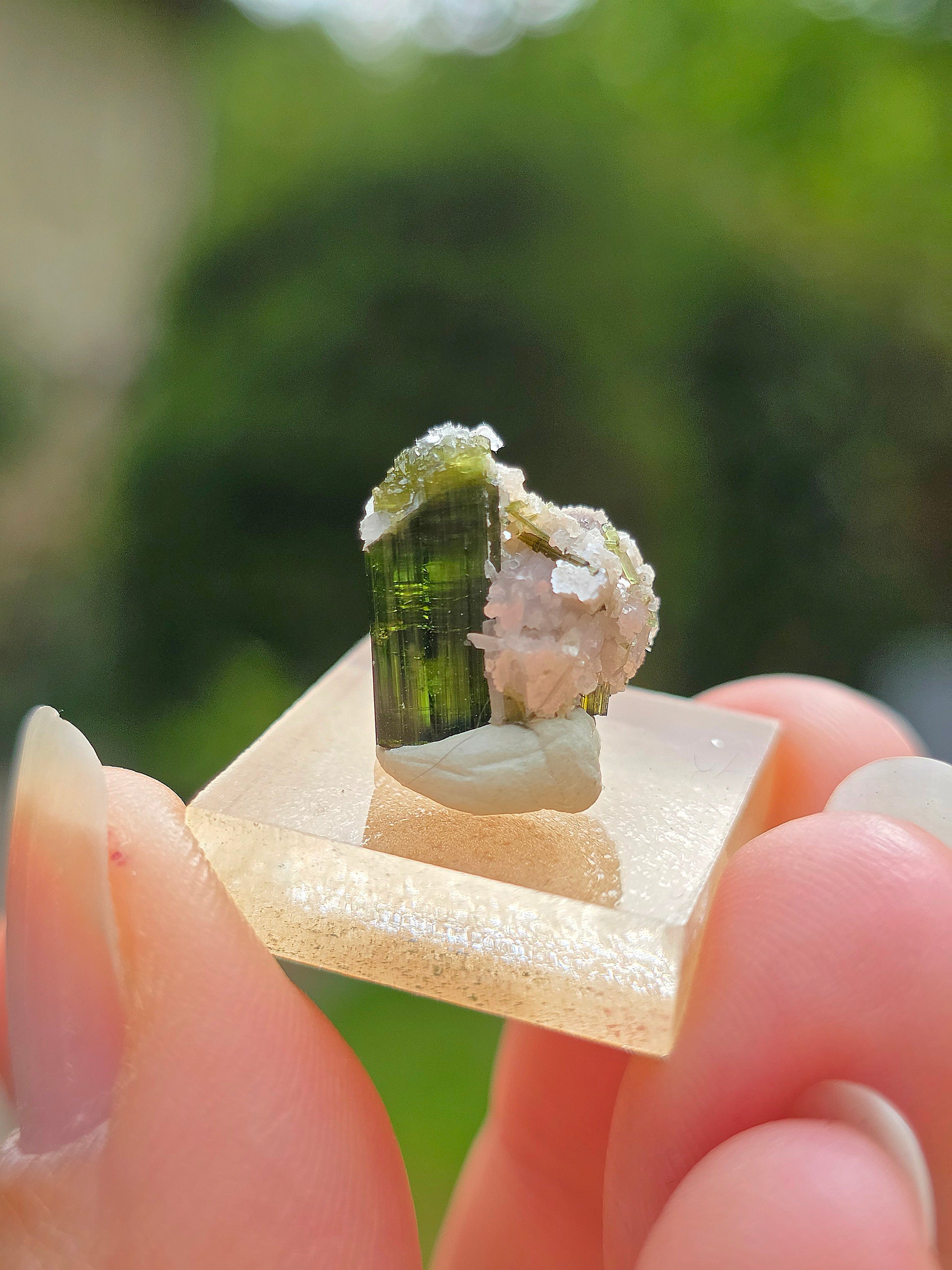 Tourmaline verte (Verdélite) du Brésil