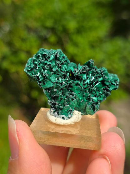 Malachite brute du Congo sur socle