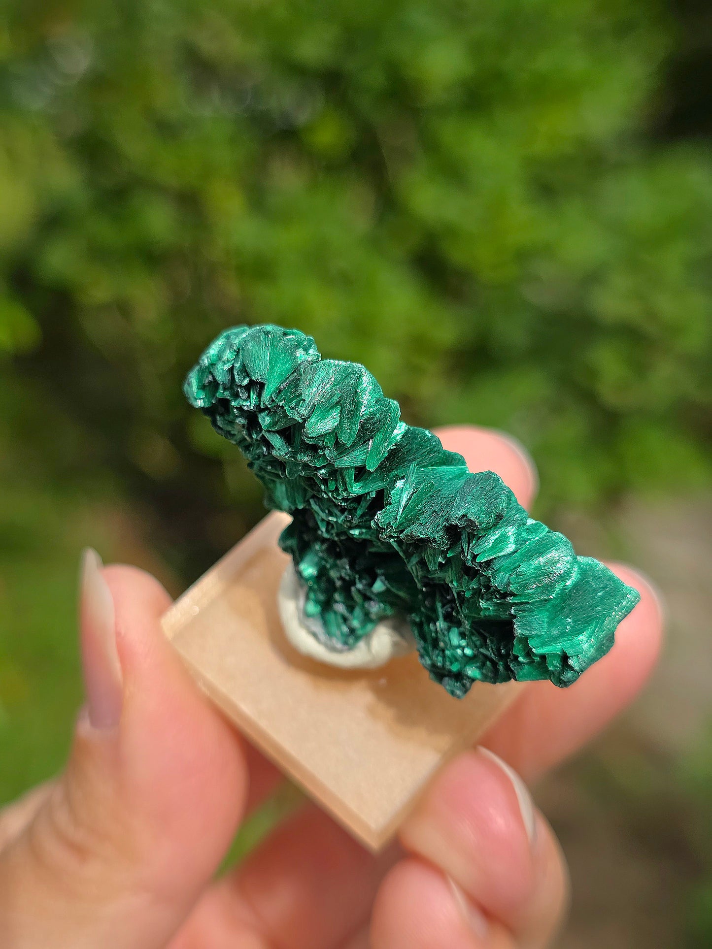 Malachite brute du Congo sur socle