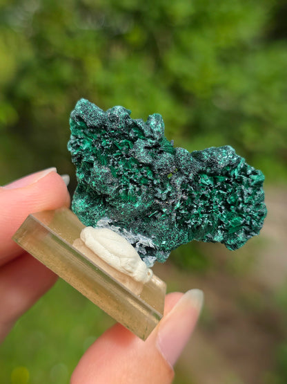 Malachite brute du Congo sur socle