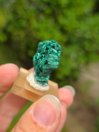 Malachite brute du Congo sur socle